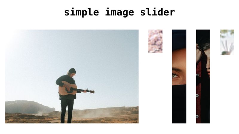 Make Image Gallery Using HTML And CSS | Animated Image Gallery Design ...