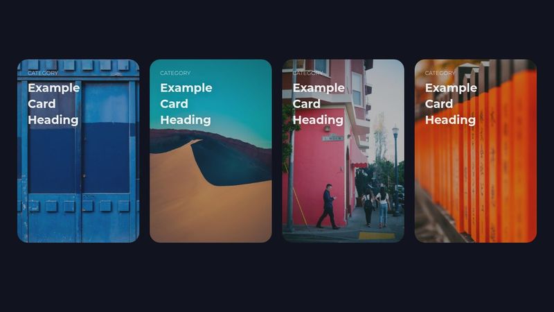 Filter Card | Html Css