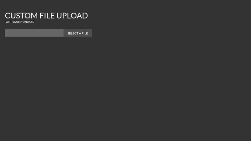 Custom FIle Upload