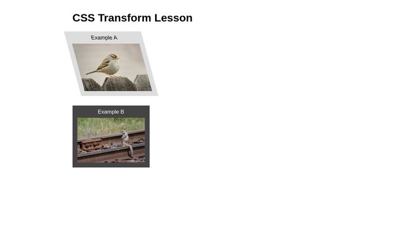 CSS Transitions and Transformations