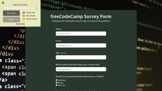Survey Form - freeCodeCamp