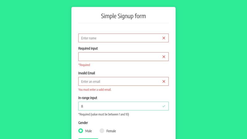Advanced CSS Styling form