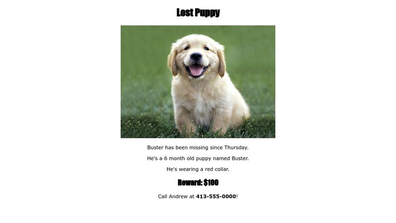 lost-pet-poster