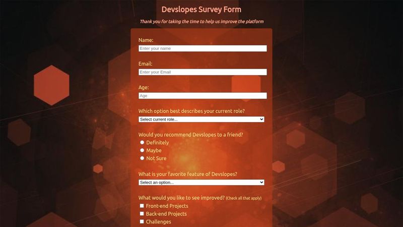 Survey Form - CSS