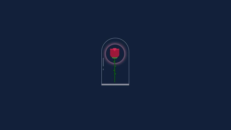 CSS Rose