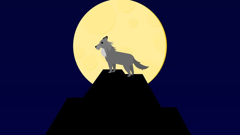 CSS Wolf 🐺