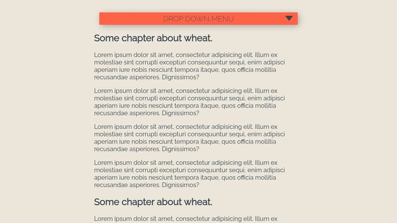 CSS only drop down menu