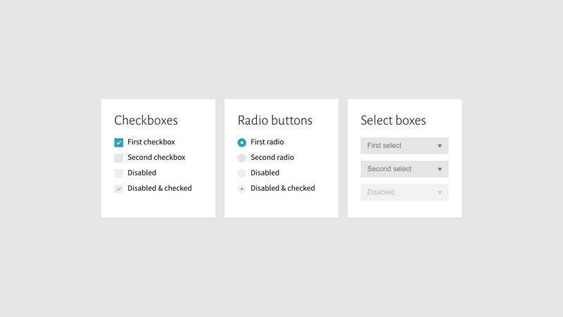 Completely CSS: Custom Checkboxes, Radio Buttons And Select Boxes