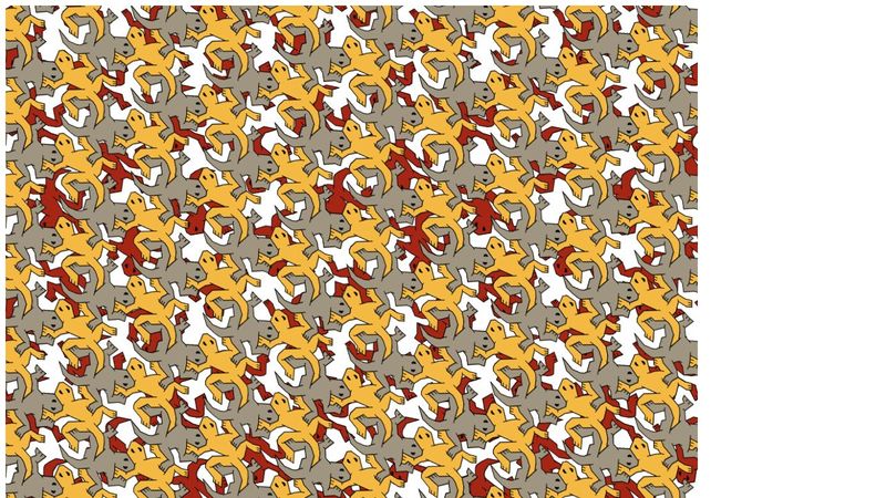 lizard tessellations