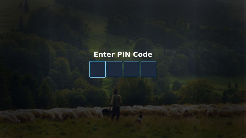 Vue pin code login page