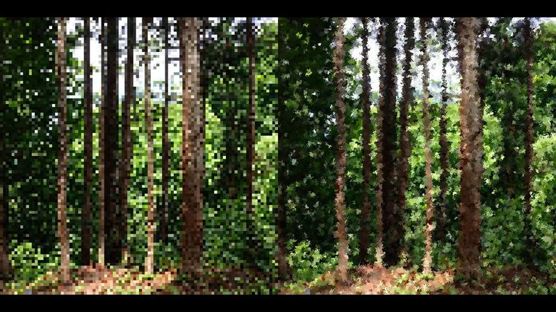 Noise blur