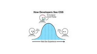 How Developers See CSS?