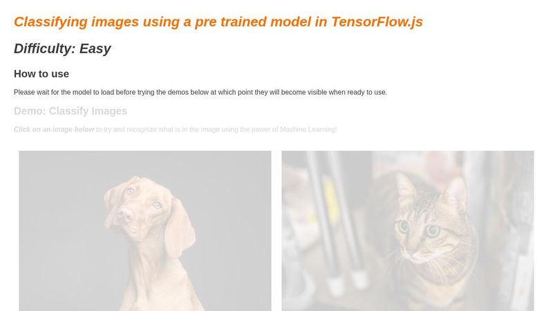 Classifying images using a pre trained model in TensorFlow.js