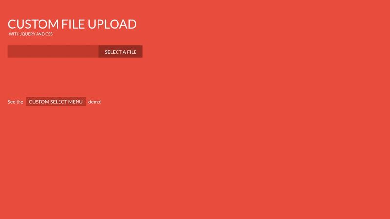 Custom FIle Upload