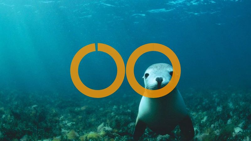 CodePen - Countdown Diving Timer, no svg or js.