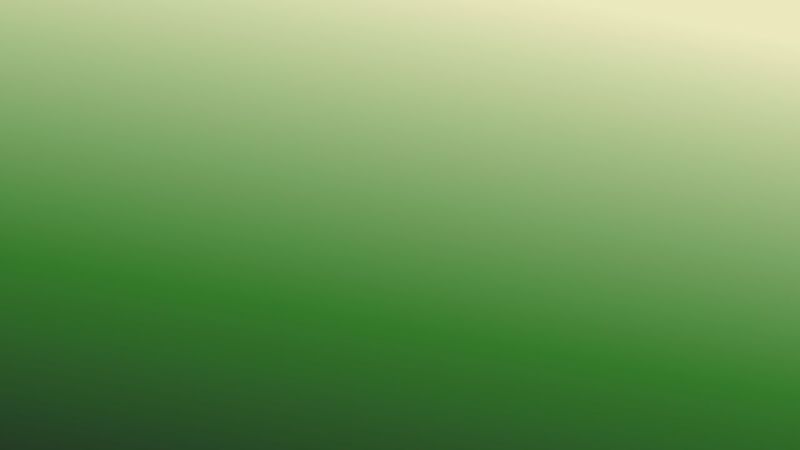 CSS Animated Background Gradient