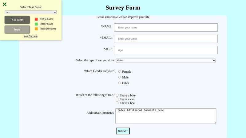 Survey Form HTML & CSS