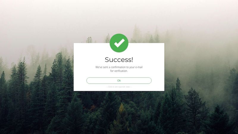 Success Modal with Animation