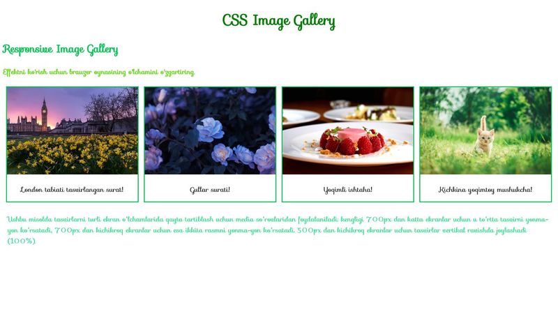 CSS Image Gallery