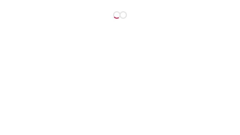 CSS Infinity Loader