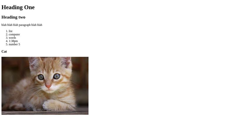 HTML Basics Exercise