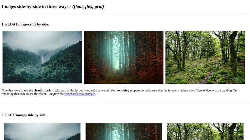 ImagesSideBySide Exercise