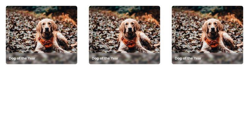 Cards + blur CSS filter