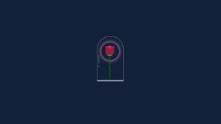 CSS Rose