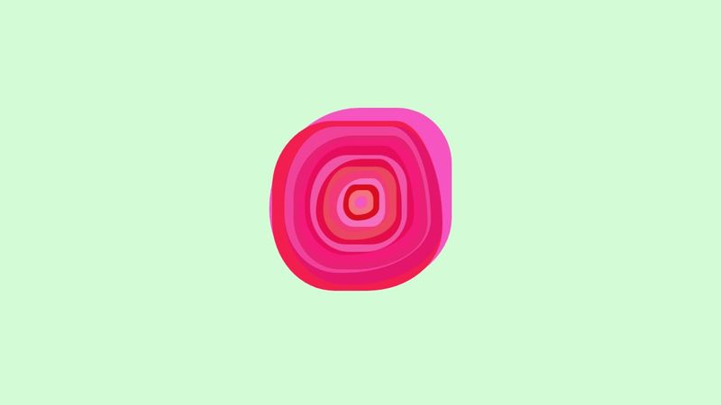 Rose | Day 2