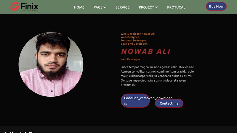 CodePen - Developer Nowab ali