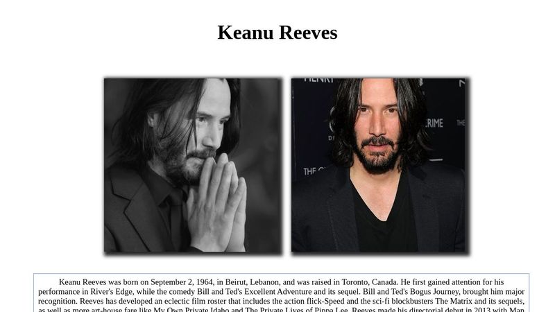 pure js(Biography example)