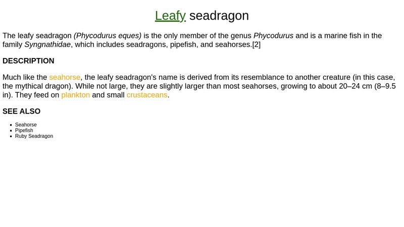 CSS Text Exercise Starter