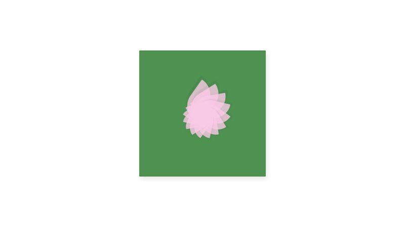 #56 CSS Challenge / Flower