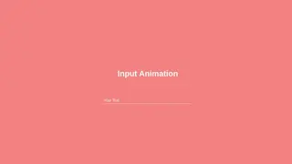 Input Animation CSS