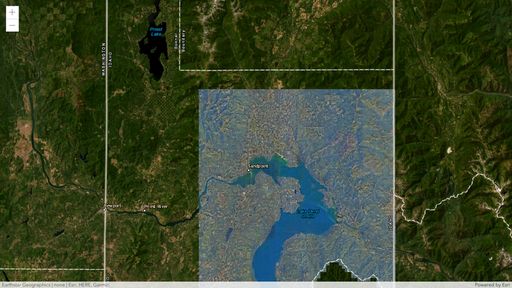 wmts layer esri js api 4.20