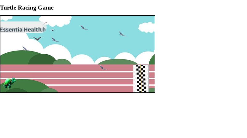 Turtle Racing Game