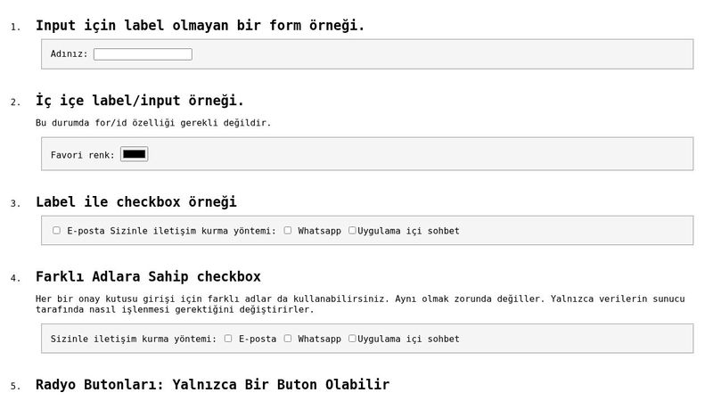 HTML Demo & Challenge: Form Labels