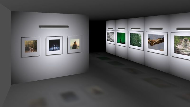 CSS only Art Gallery