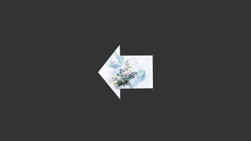 Shape Animation CSS