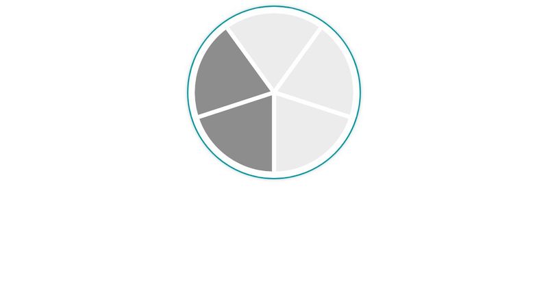 CSS pie chart