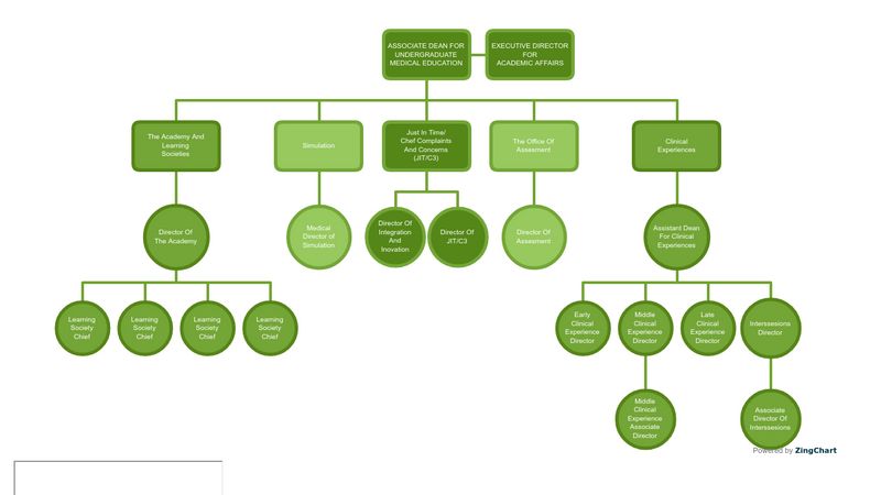 Org Chart 7