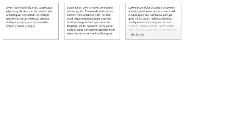 POC Text overflow basic detection
