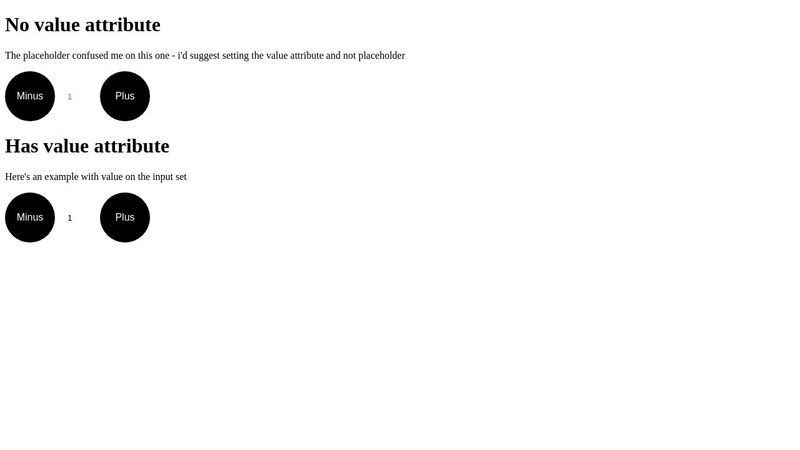 Quantity Input with Plus and Minus buttons