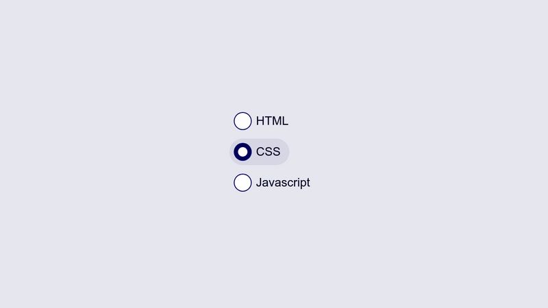 CSS Custom Radio Button | Styling Radio Buttons With CSS | CSS Tutorial