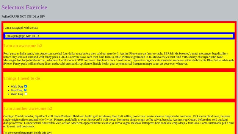 CSS Selectors Practice Exercise