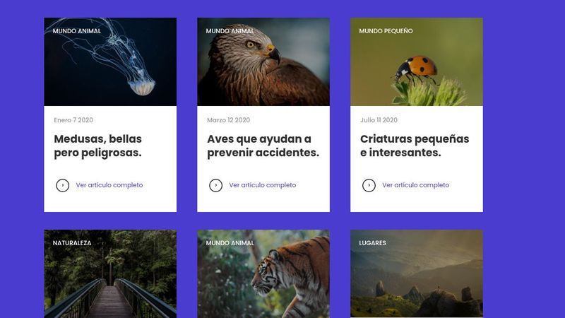 Responsive gallery with CSS Grid
