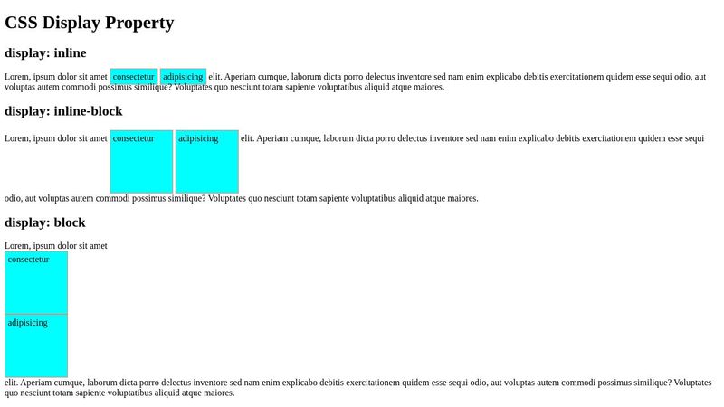 CSS Display Property