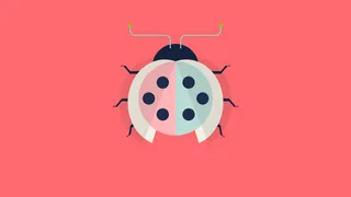 Draw A LadyBug By CSS