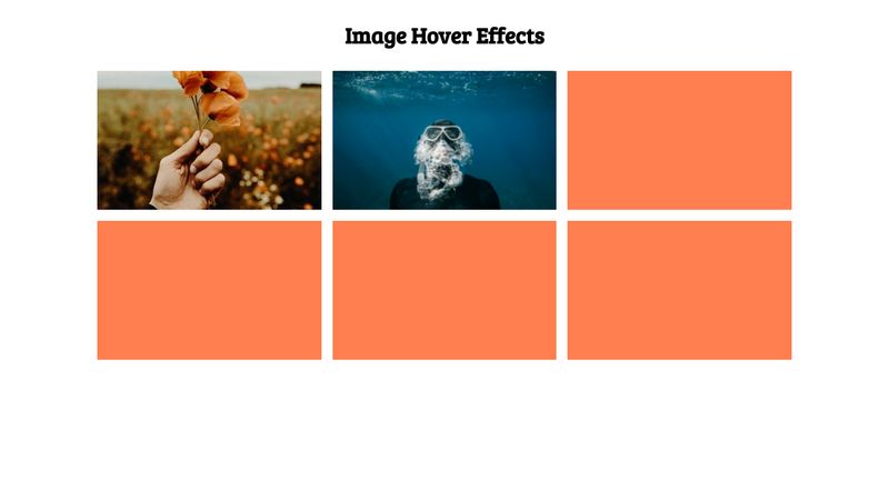 image-hover-effects