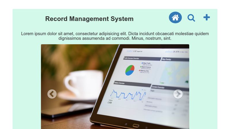 Record Management System Template